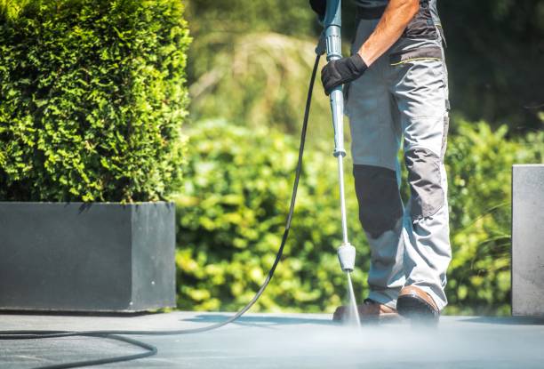 Best Sidewalk and Walkway Cleaning  in Richland, GA
